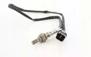 triscan-884542513
