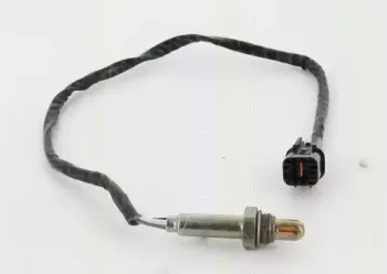 triscan-884542514
