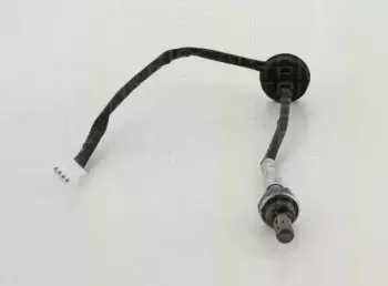 triscan-884542520