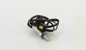 triscan-884542530