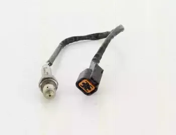 triscan-884543007