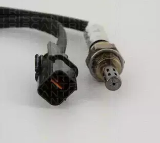 triscan-884543013