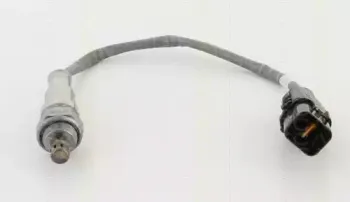 triscan-884543037