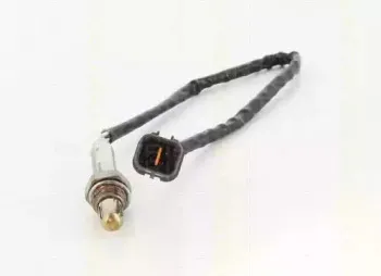 triscan-884543039