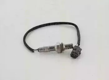 triscan-884543045