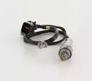 triscan-884543047