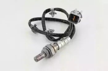 triscan-884543048