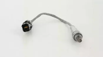triscan-884543049