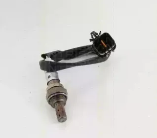 triscan-884543124