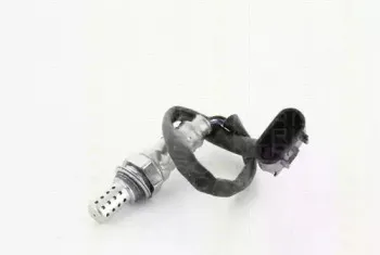 triscan-884543507
