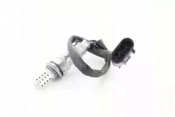 triscan-884543507