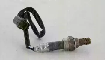 triscan-884543514