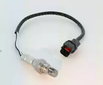 triscan-884543517