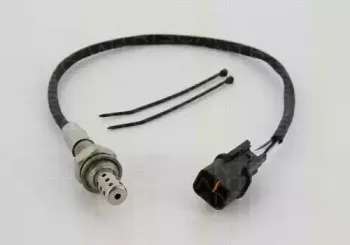 triscan-884543521