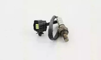 triscan-884550021