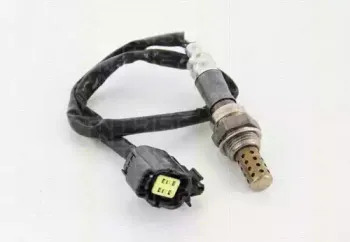 triscan-884550087