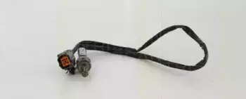 triscan-884550521