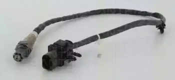 triscan-884569024