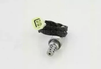 triscan-884569053