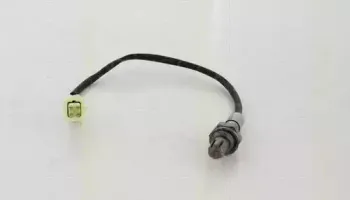 triscan-884569501