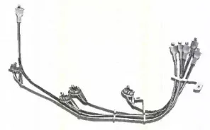 triscan-88603133