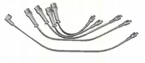 triscan-88603175