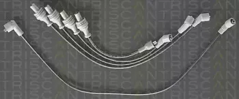 triscan-88603374