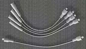 triscan-88603413
