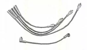 triscan-88604009