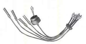 triscan-88604038