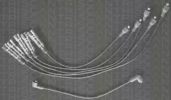triscan-88604104