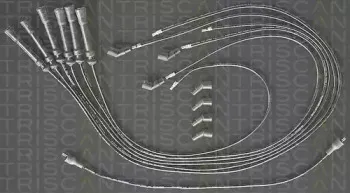 triscan-88604106