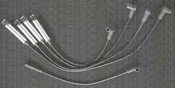 triscan-88604122