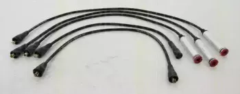 triscan-88604123