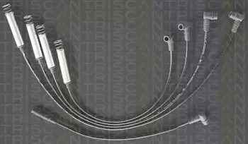 triscan-88604128