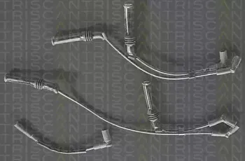 triscan-88604306