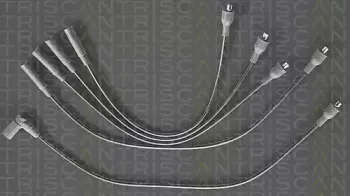 triscan-88604313