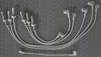 triscan-88604319