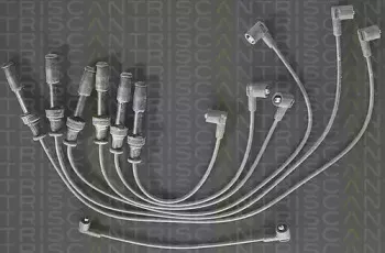 triscan-88604325