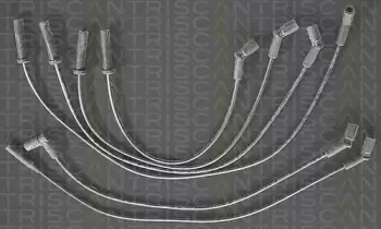 triscan-88604326