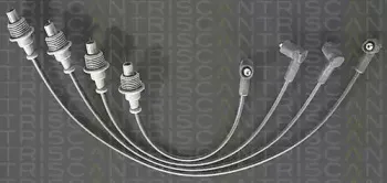 triscan-88604331