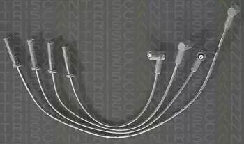 triscan-88604333