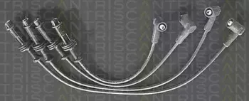 triscan-88604334