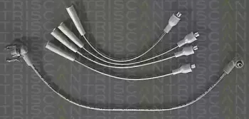 triscan-88604405