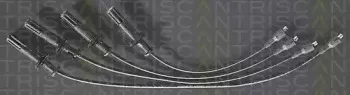 triscan-88606206