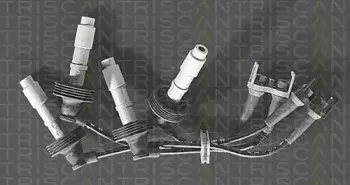 triscan-88606462