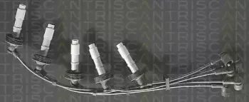 triscan-88606468