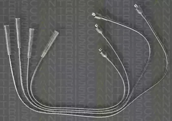 triscan-88607104