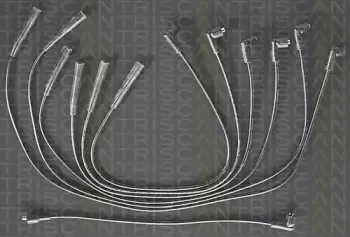 triscan-88607106