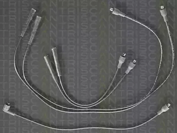 triscan-88607140